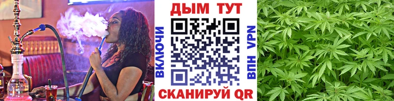 Конопля AK-47  Купить где  Трубчевск 